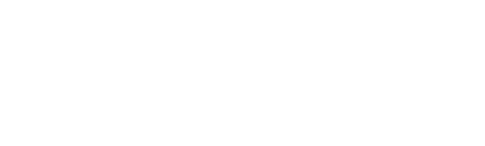 logo blanco